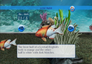 My Aquarium bientôt sur le WiiWare