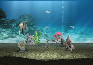 Images de My Aquarium