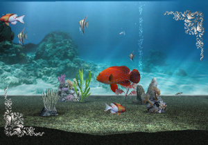 Images de My Aquarium