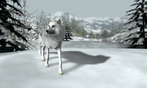 Un loup blanc sur Wii