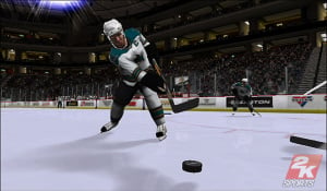 E3 2008 : Images de NHL 2K9 Wii