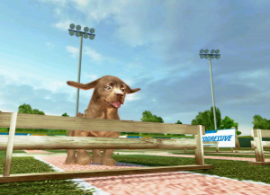 GC 2008 : Petz Sports : Dog Playground
