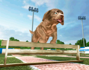 GC 2008 : Petz Sports : Dog Playground