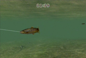 Images de Reel Fishing Challenge