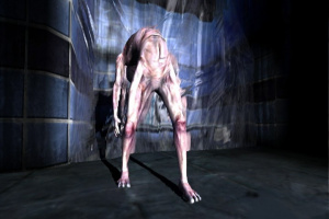 Images de Silent Hill Wii