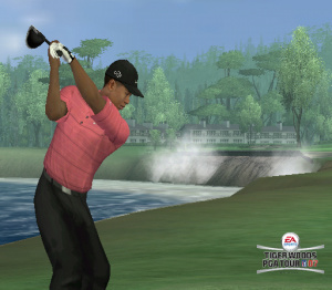 Images : Tiger Woods PGA Tour 07 pousse la balle