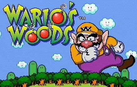 Wario's Woods sur Wii