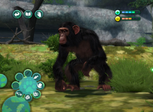 Soignez les animaux du zoo avec la Wii