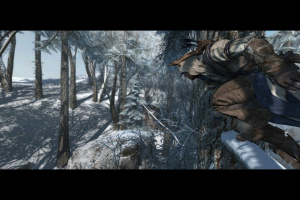 Images d'Assassin's Creed III
