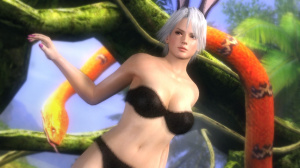 Dead or Alive 5 : DLC bikinis ou à poils