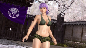 Dead or Alive 5 : DLC bikinis ou à poils