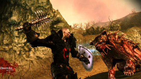 Images et vidéo de Dragon Age Origins : The Awakening