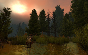 Dragon Age : Origins s'offre une foule de bonus