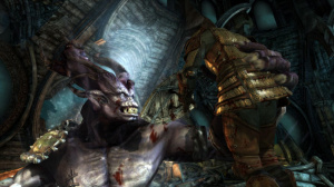 Dragon Age : Origins s'offre une foule de bonus