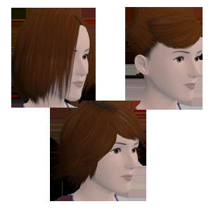 Du contenu pour Les Sims 3 sur consoles