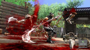 Ninja Gaiden 2 illustré