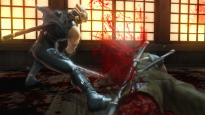 Images : Ninja Gaiden II