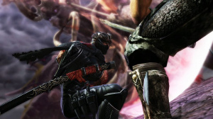 Images de Ninja Gaiden III