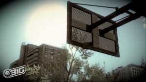 Images : 360 tours de terrain pour NBA Street