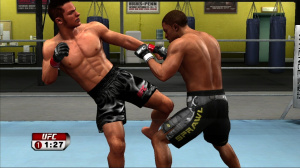 UFC 2009 Undisputed