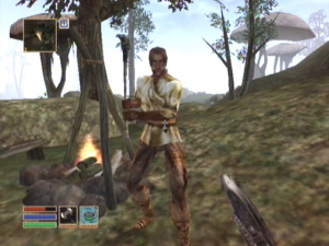 16ème : The Elder Scrolls III : Morrowind / 2002