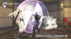 Ninja Gaiden 1.1 en images