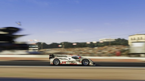 GC 2013 : Images de Forza Motorsport 5