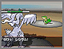 Images de Pokémon version Noire et Blanche
