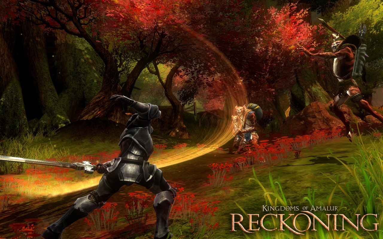 http://image.jeuxvideo.com/images/p3/k/i/kingdoms-of-amalur-reckoning-playstation-3-ps3-016.jpg