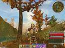 Test Guild Wars PC - Screenshot 88