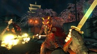 Shadow Warrior-FLT 2013 [MULTI-FR]