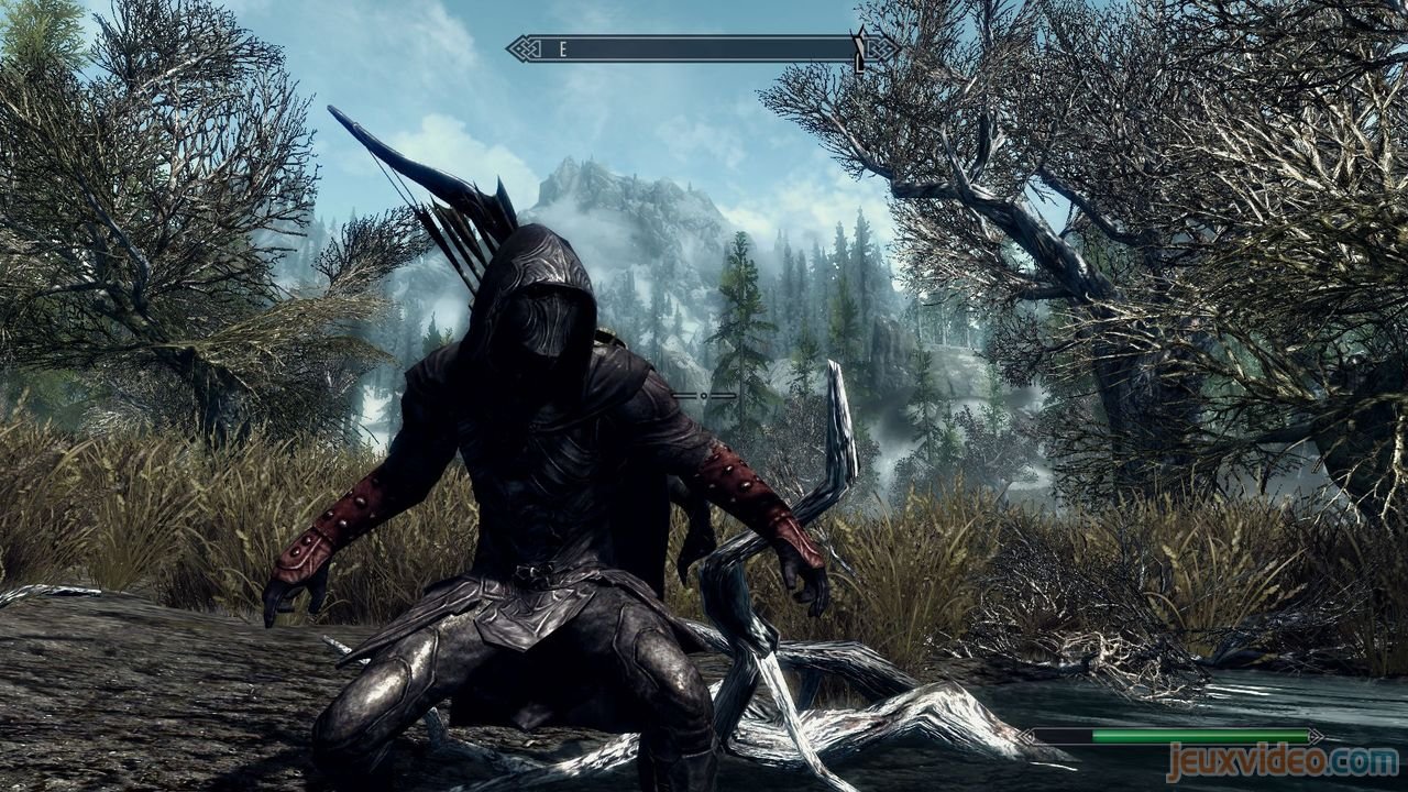 quelle est cette armure sur le forum The Elder Scrolls V : Skyrim -  03-05-2012 15:45:25 - jeuxvideo.com, image size:1280x720