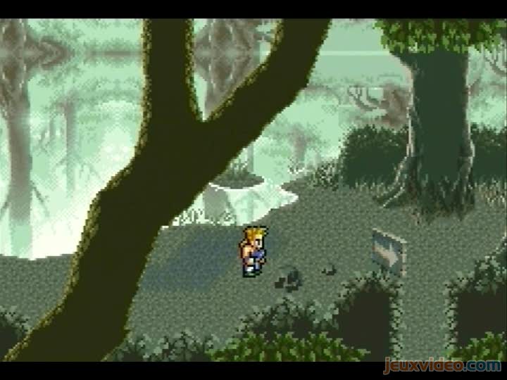 Gameplay Final Fantasy Vi Advance The Phantom Forest Jeuxvideo Com