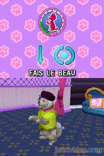 Jeu Vidéo Sur Console Ds, Barbie Et Salon De Beauté Pour Animaux