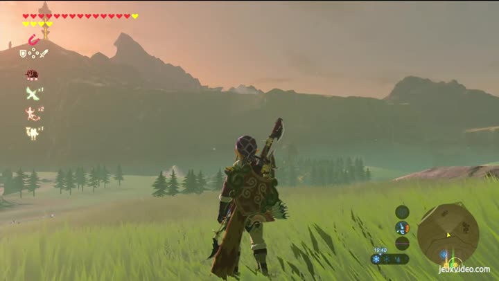 The Legend of Zelda : Breath of the Wild [video game] : : Jeux  vidéo