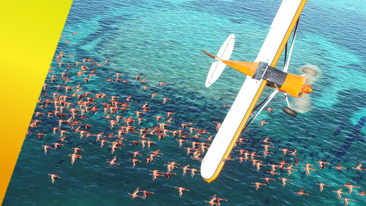 Physique, rendu 3D, sensations de vol… Flight Simulator, conçu par le  français Asobo, repousse les limites du réalisme