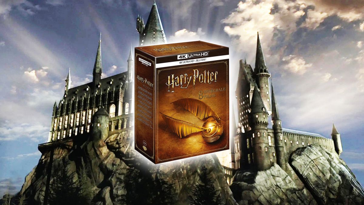 Blog jeux video PC, high-tech & cinema: Edition collector  intégrale 11 Blu-Ray Harry Potter avec la baguette de Sureau