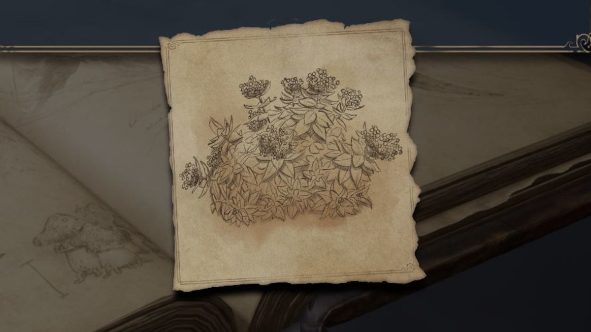 Mauve douce Hogwarts Legacy comment obtenir cette ressource ?