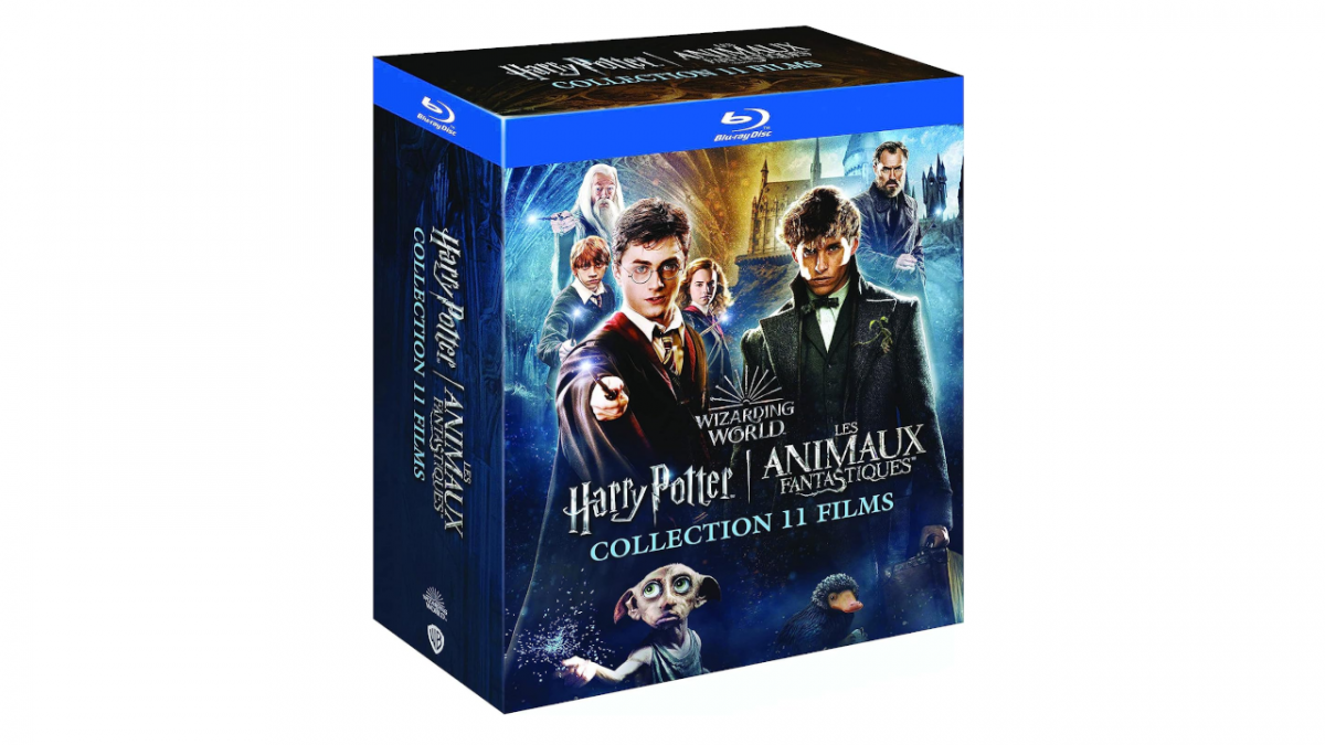 Wizarding World - Harry Potter / Les Animaux fantastiques - L'intégrale  coffret 11 films - Films Action - Aventure DVD - Films DVD & Blu-ray