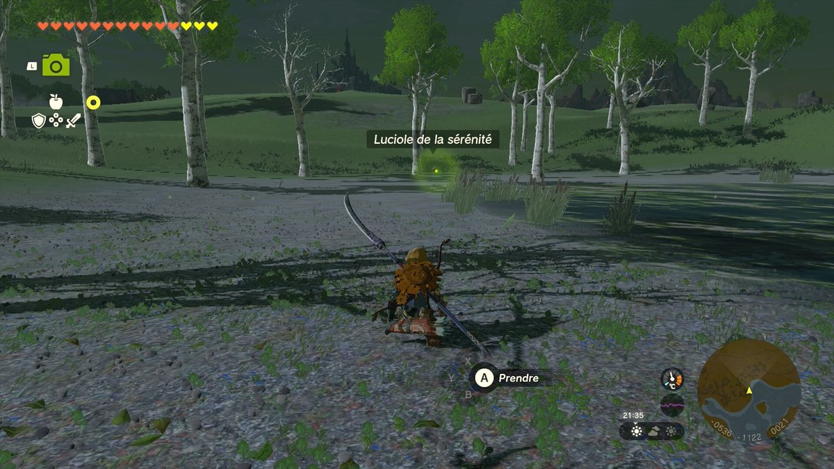 Luciole de la sérénité Zelda Tears of the Kingdom Comment capturer facilement cet insecte