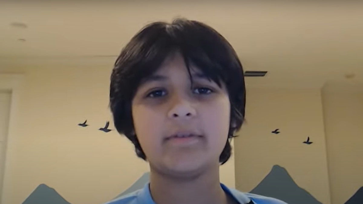 SpaceX : Qui est vraiment l'ado de 14 ans embauché par Elon Musk ? -  jeuxvideo.com