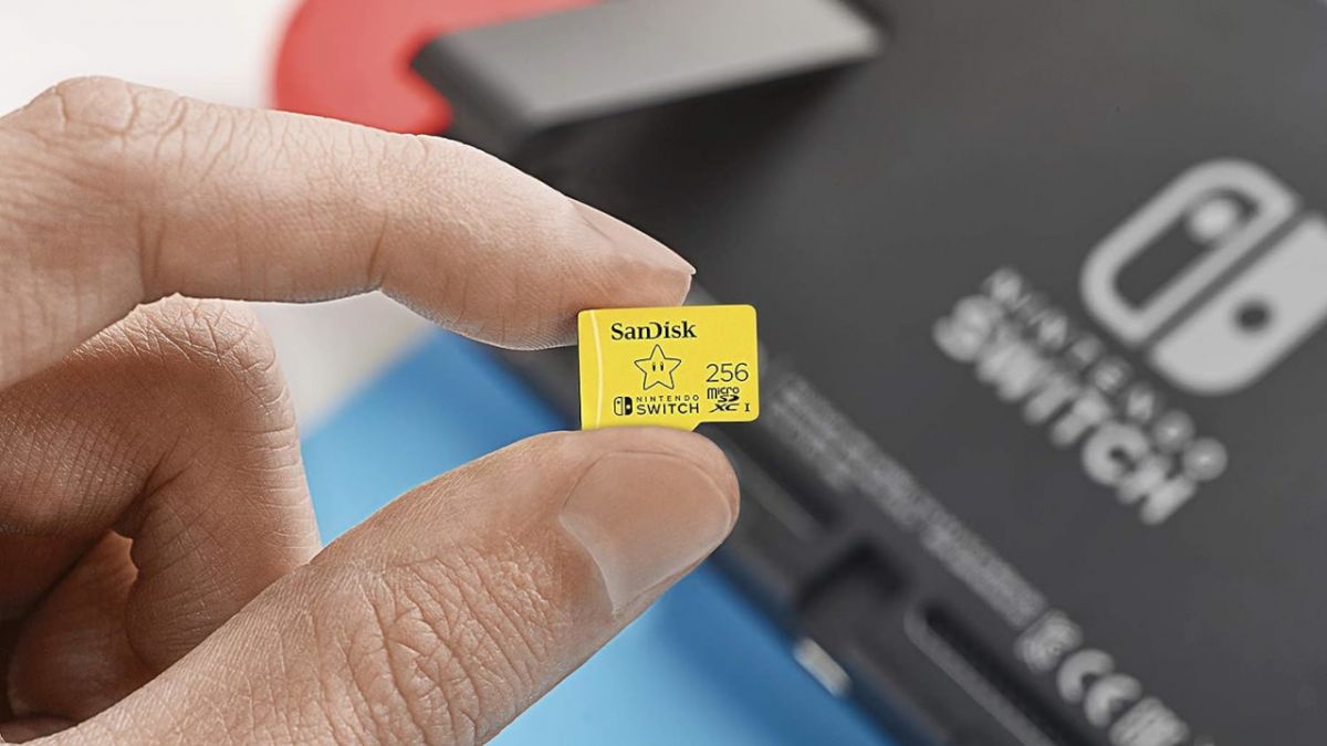 Carte mémoire Micro SDXC 128 Go pour Nintendo Switch (PAQUET DE 2)