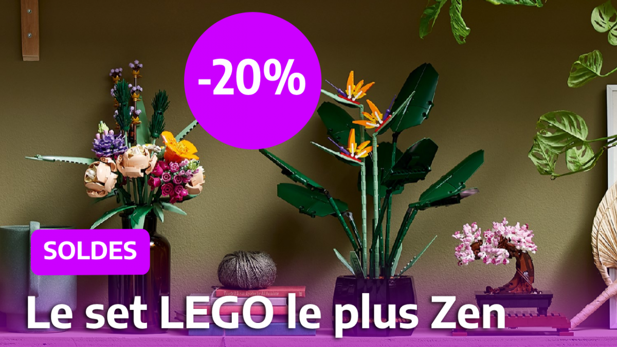 Énorme remise sur ce set de LEGO disponible pendant les soldes Cdiscount -  Le Parisien