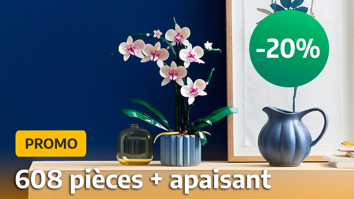 Tissu D'ameublement Romo Mariola 7712/01 - Orchidée Romaine - Sur Mesure
