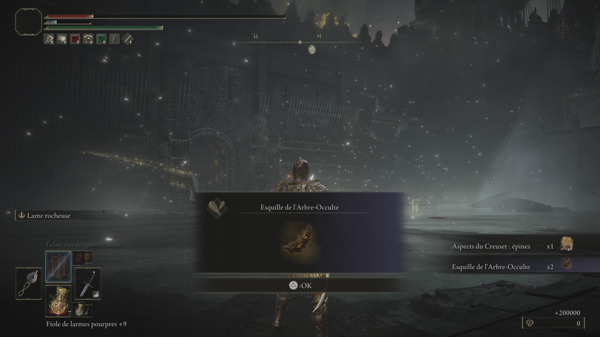 Hippopotame doré Elden Ring DLC Comment éliminer ce boss du château noir dans Shadow of the