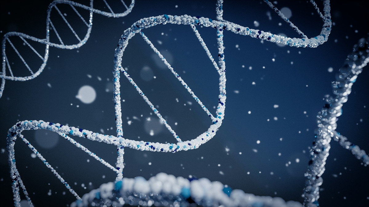 Molecular Cryptography: Why Synthetic DNA is the Ultimate Vault for the Quantum Age
