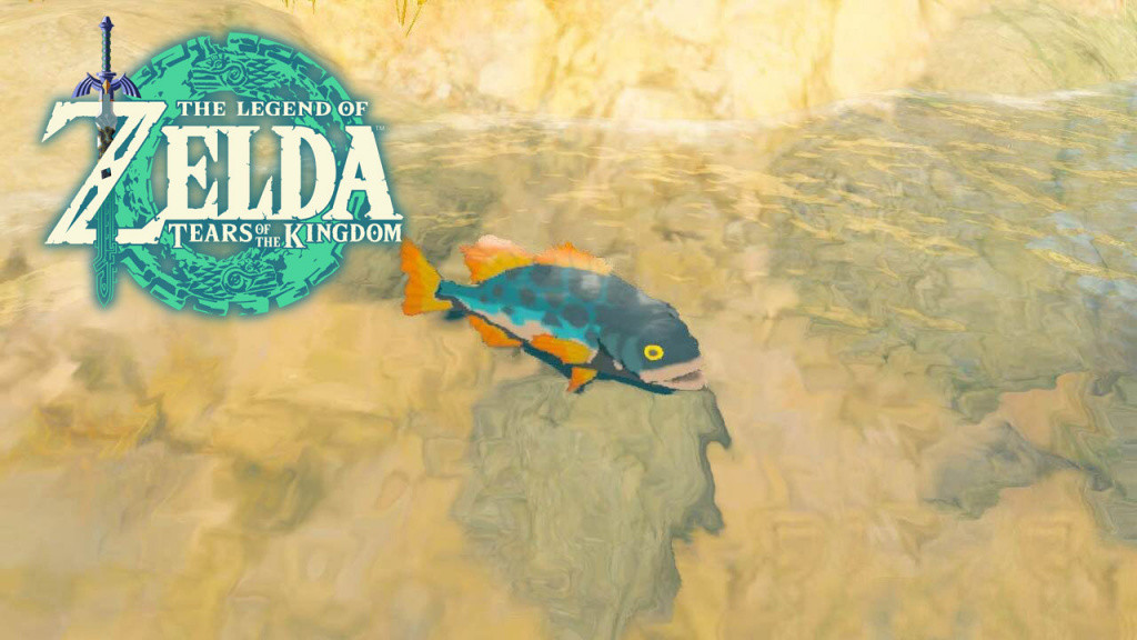 Perche max Zelda Tears of the Kingdom : Comment obtenir ce poisson 