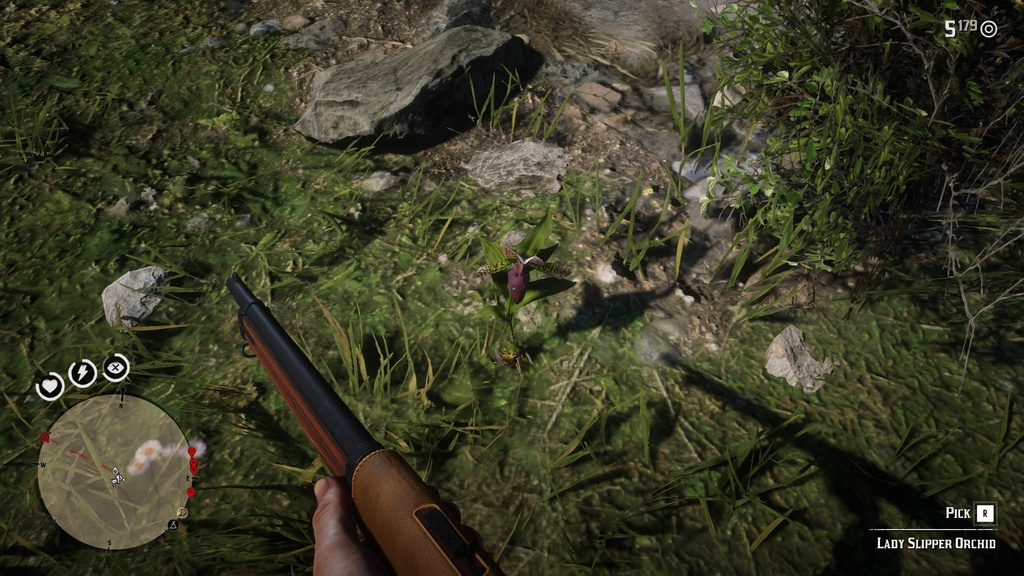 Sabot de vénus Red Dead Redemption 2 : Quelles sont les différentes positions pour trouver cette orchidée ? Sabot de vénus Red Dead Redemption 2 : Quelles sont les différentes positions pour trouver cette orchidée ?