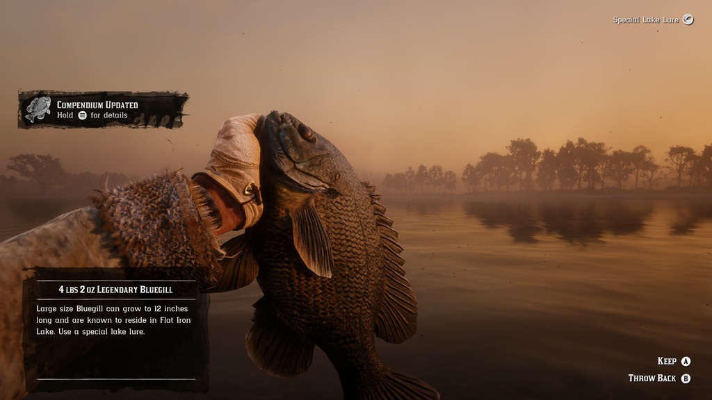 Crapet arlequin Red Dead Redemption 2 : Où pêcher ce poisson Crapet arlequin Red Dead Redemption 2 : Où pêcher ce poisson