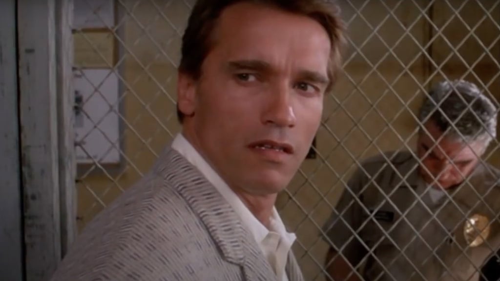 “Plus de 40 millions de dollars” Le film qui a rapporté le plus d'argent à Arnold Schwarzenegger n'est pas un film d’action !